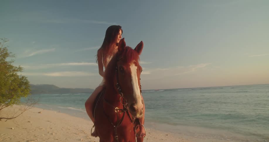 A beautiful woman in a white dress sits atop a majestic brown horse on a serene beach, gazing at the ocean during a golden sunset