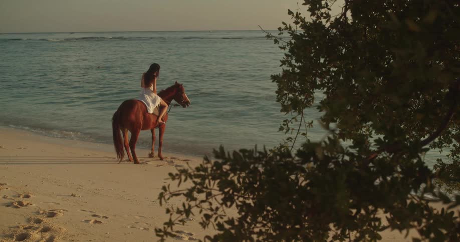 A woman in a flowing white dress sits peacefully on horseback at the oceans edge during a beautiful sunset