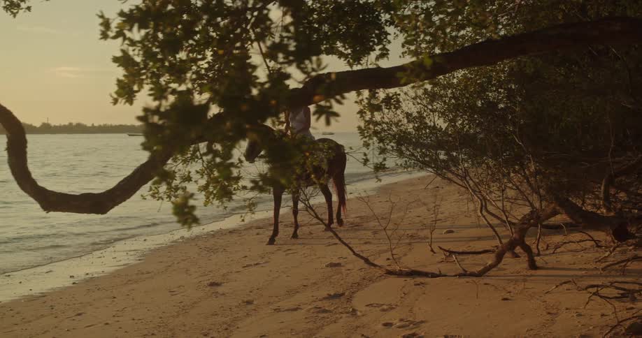 A young woman gracefully rides a horse along a sandy tropical beach during a beautiful golden sunset