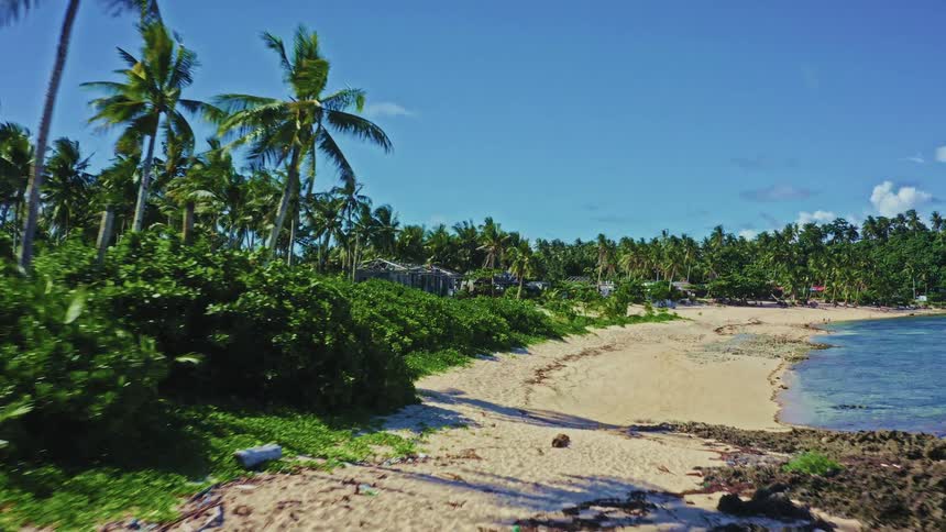 A slow aerial shot moving along a beautiful tropical beach lined with lush green palm trees on a sunny day