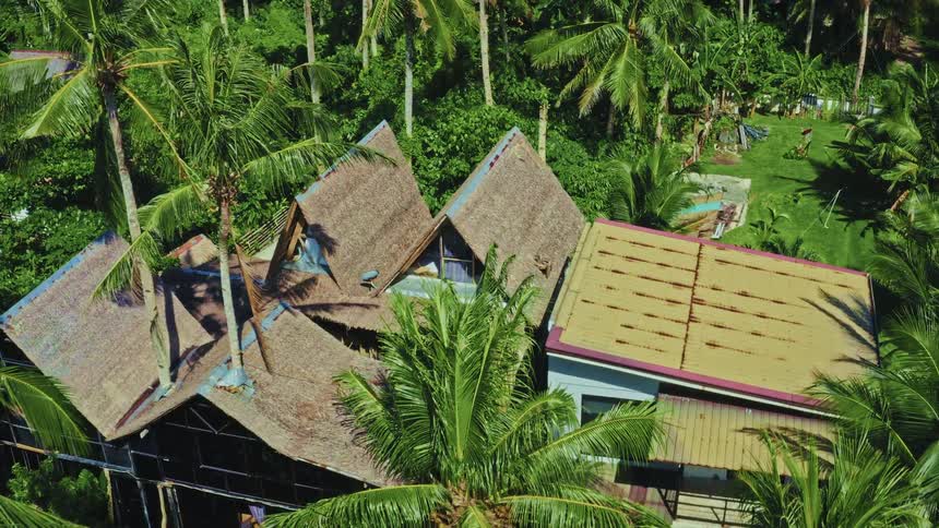 An aerial view of a unique island home with a thatched roof nestled amongst a lush tropical jungle of palm trees