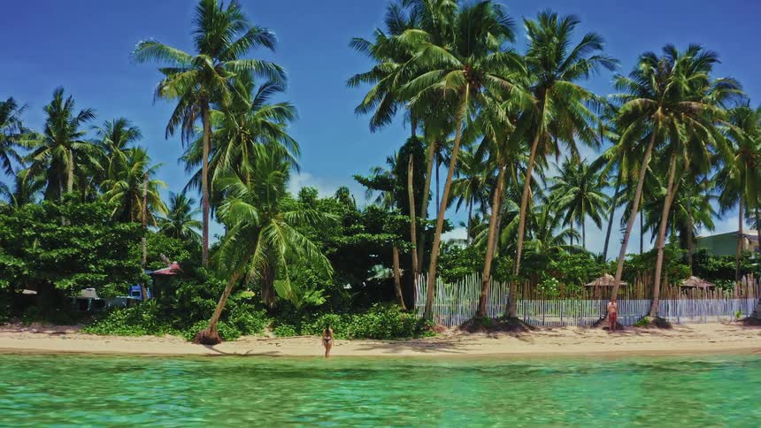 Aerial shot pulls away from a woman in a bikini walking from the clear turquoise ocean onto a beautiful tropical beach lined with palm trees