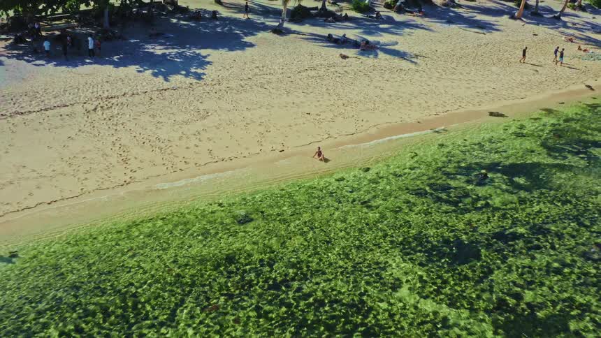 Aerial drone pulls back from a woman sitting in the shallow clear water to reveal a beautiful tropical beach with palm trees