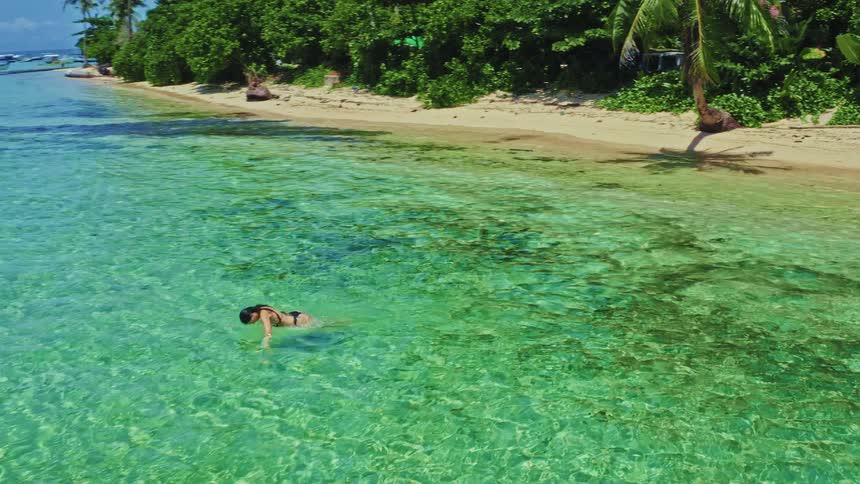 Aerial view of a woman in a bikini swimming in the shallow, crystal-clear turquoise ocean off a sandy beach lined with palm trees