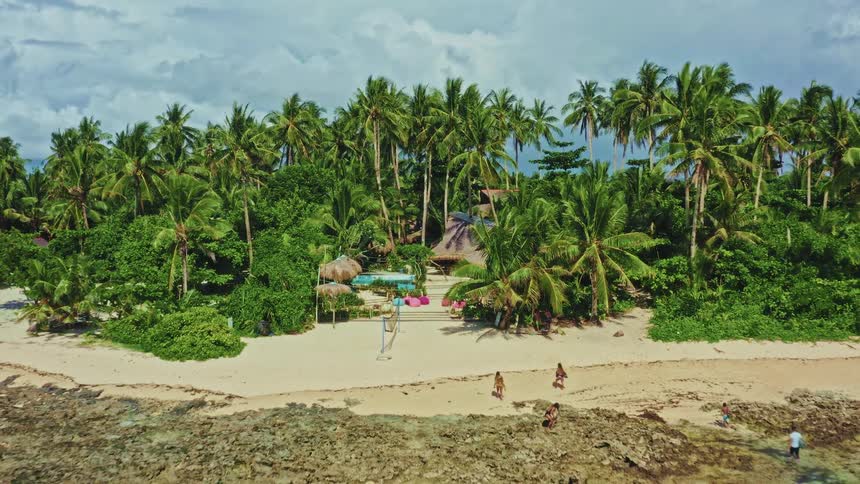 An aerial view pulls back from a luxurious tropical beach resort nestled in a lush palm tree forest on a remote island