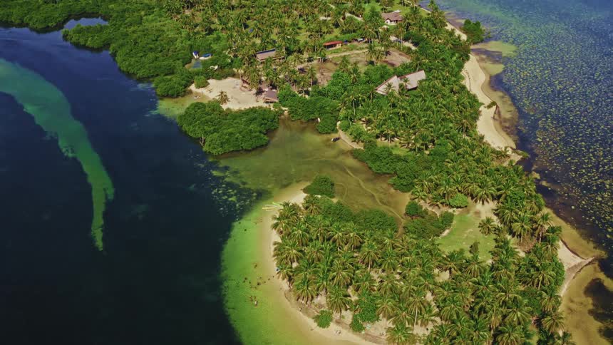 A top-down aerial view of a pristine tropical beach pulls back to reveal the entire lush, palm tree-covered island surrounded by the clear turquoise ocean