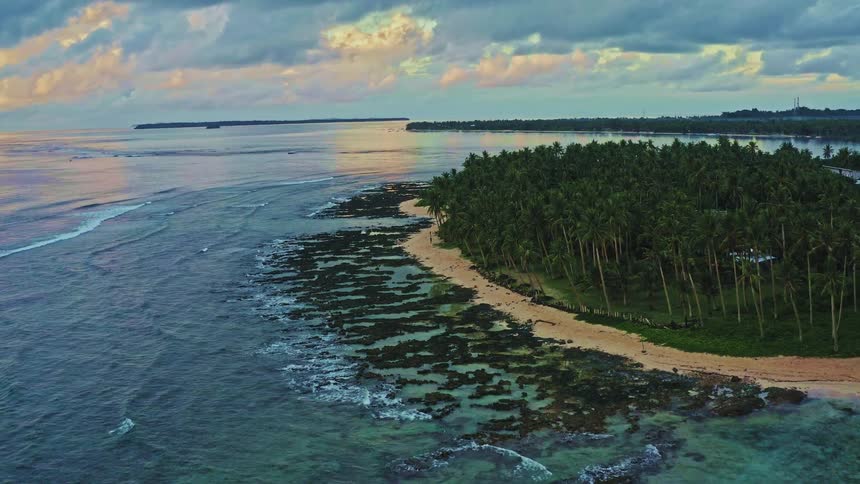 A serene aerial flight over a tropical island's coastline reveals a beautiful sandy beach bordered by a dense palm tree forest at dusk