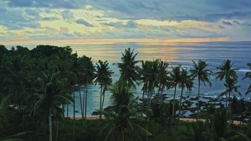 A tranquil aerial view pans back over a lush palm tree jungle to reveal a serene tropical coastline at sunset