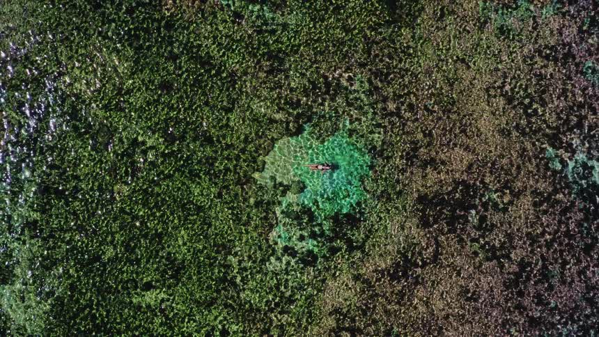 An aerial top-down view shows a woman in a bikini floating peacefully in a natural pool of crystal-clear emerald water as the camera slowly zooms out to reveal the vast mossy reef