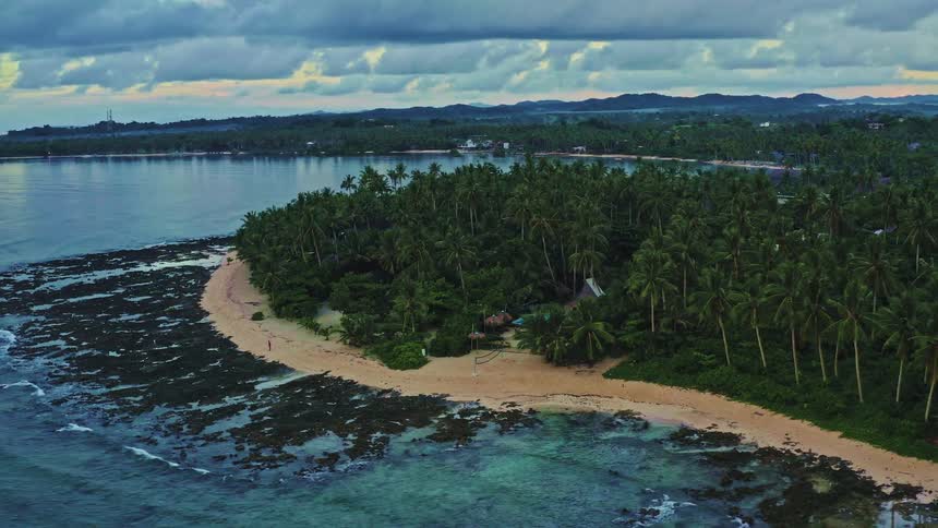 A serene aerial view pulling back from a lush tropical island coastline with a sandy beach and palm tree forest at twilight