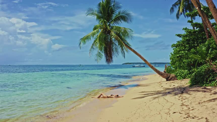 A serene aerial view slowly zooms out from a woman in a bikini sunbathing on a pristine tropical beach under a leaning palm tree