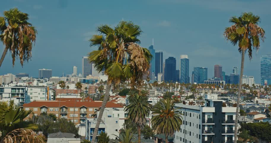 A sunny cinematic shot of the Downtown Los Angeles skyline framed by iconic palm trees and city buildings