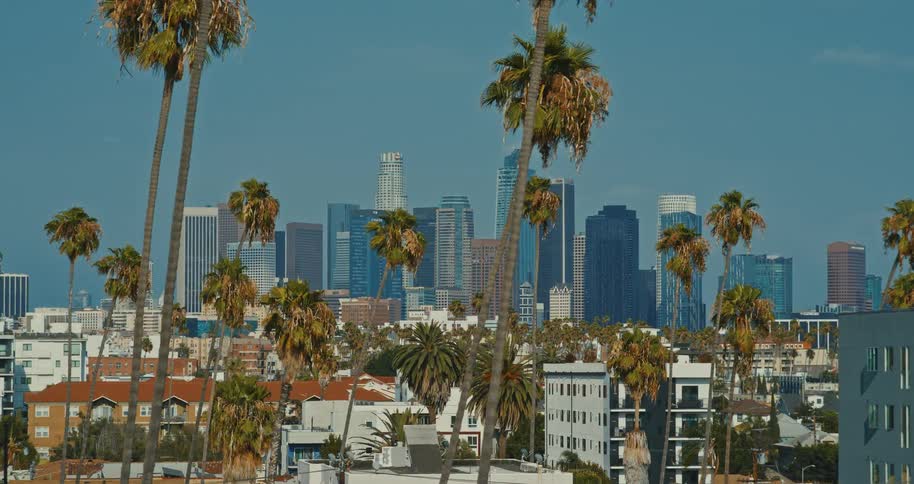 A slow zoom into the downtown Los Angeles skyline framed by iconic palm trees on a clear sunny day