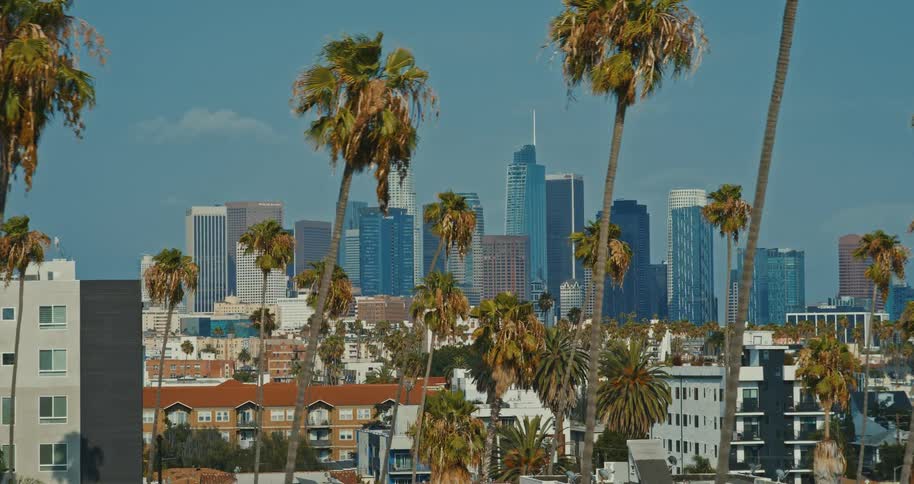 A slow parallax shot reveals the iconic downtown Los Angeles skyline framed by numerous palm trees on a clear, sunny day