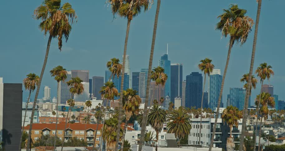 A slow zoom out shot of the iconic Downtown Los Angeles skyline framed by classic California palm trees on a sunny day