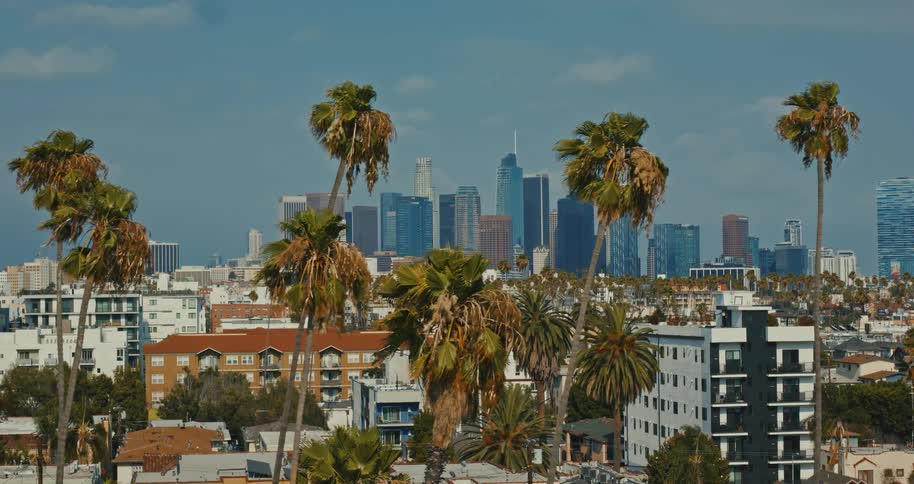 A slow aerial pullback reveals the iconic downtown Los Angeles skyline behind a neighborhood of swaying palm trees on a sunny day