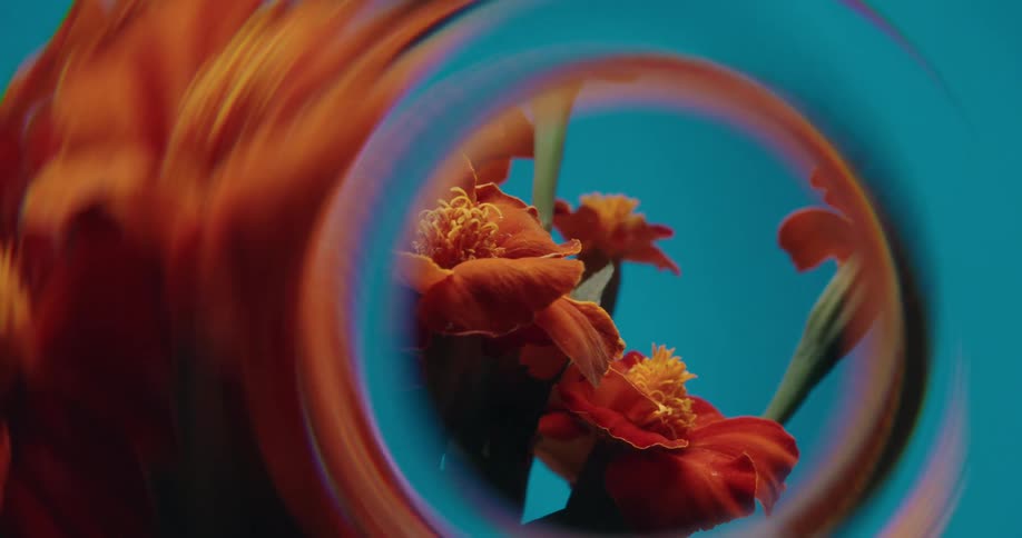 A surreal, psychedelic close-up of vibrant orange marigolds viewed through a warped circular lens against a teal background