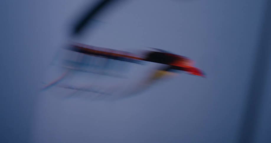 Flashing lights create an abstract and disorienting motion blur effect on a plant