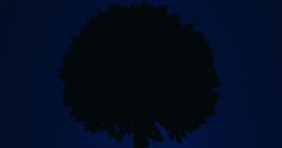 A purple allium flower flickers dramatically in strobe lighting against a dark blue background