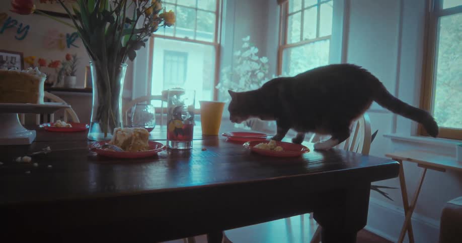 A mischievous house cat sneaks onto a dining room table to eat leftover food from a birthday party