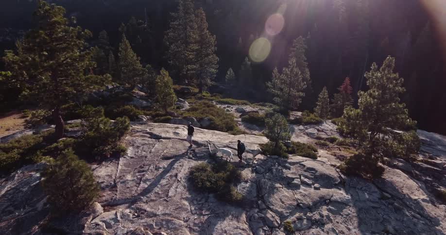 Two people and a dog hike across a mountain