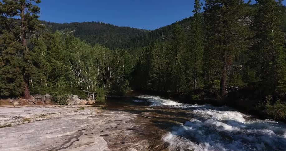 Rapid waters run through this forest