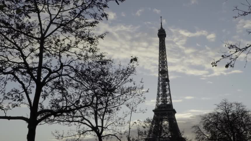 The eiffel tower looms over tree tops
