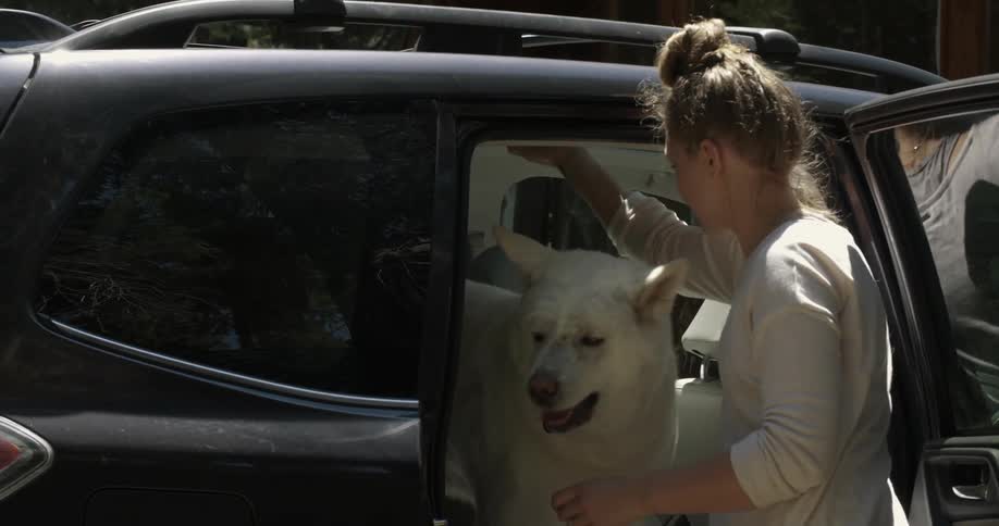 A woman pets her dog while it stands in a black vehicle