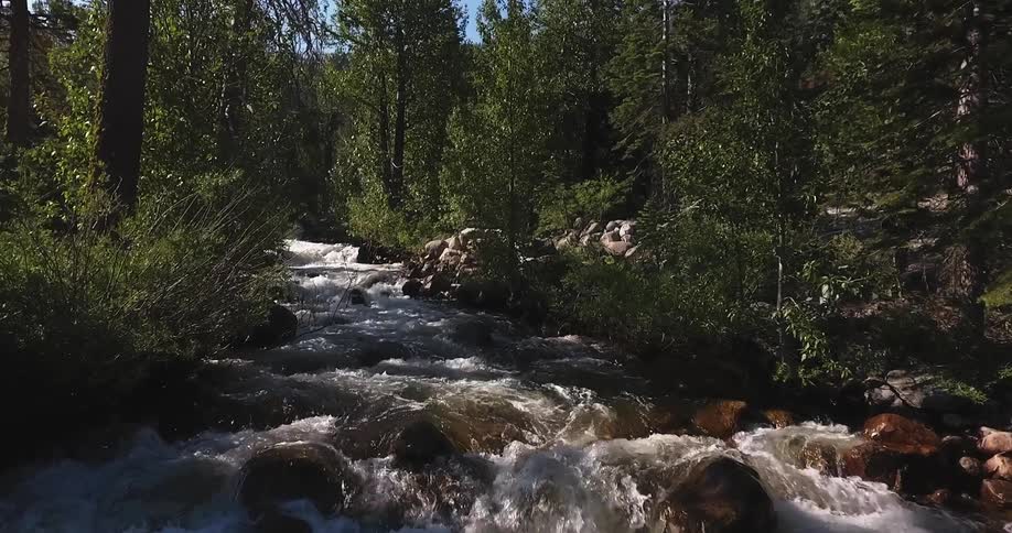 Water flows over rocks in a river in a forest
