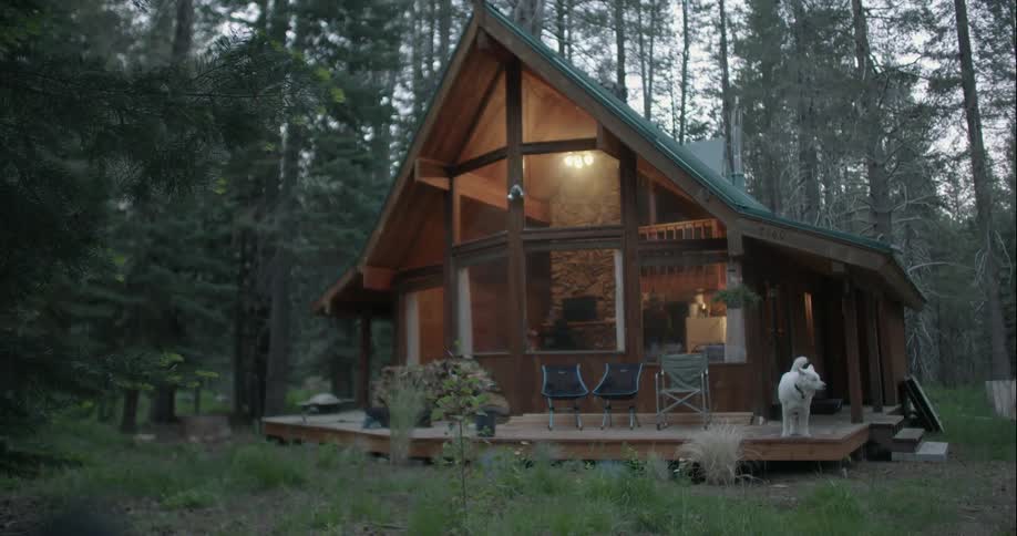 Dog standing on a porch outside of a cabin in the woods