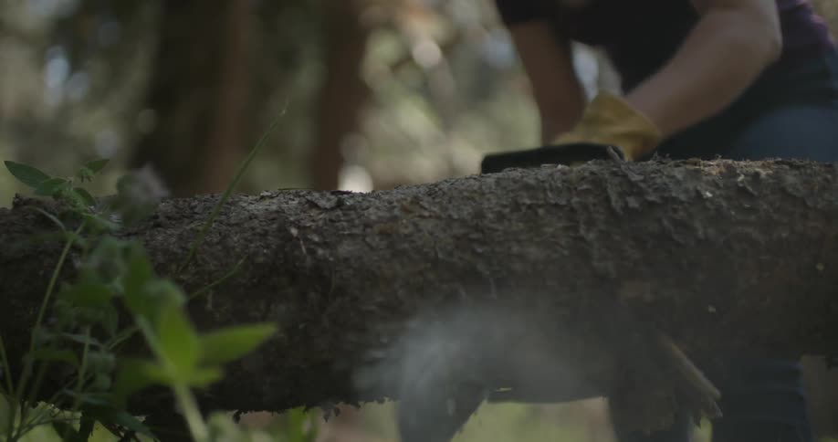 A woman is using a chainsaw to cut a log