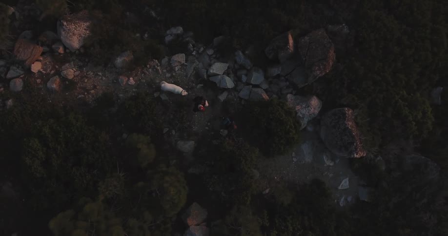 A dog and two hikers walk in the wilderness