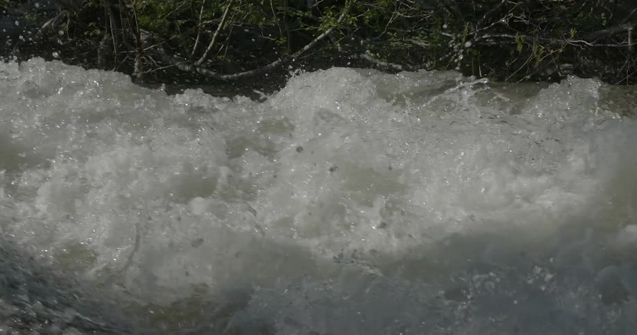 Water rushes and crashes in a river