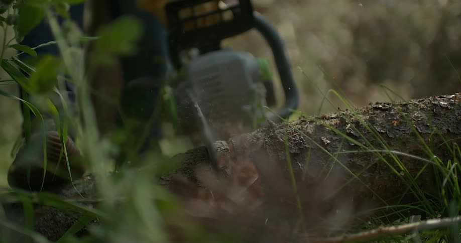A person cuts a log with a chainsaw