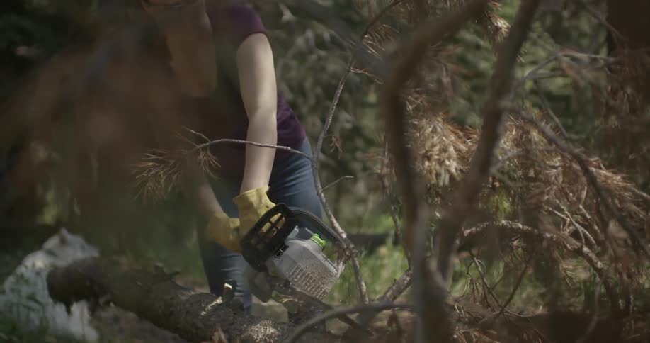 A woman is cutting a tree with a chainsaw