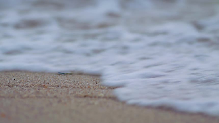 A wave rushing across the sand