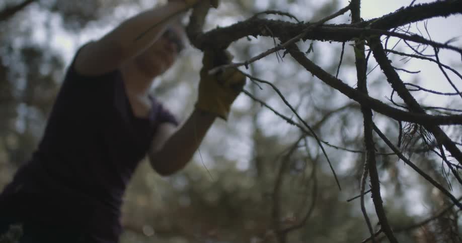 A woman is clearing a tree branches in a wooded area