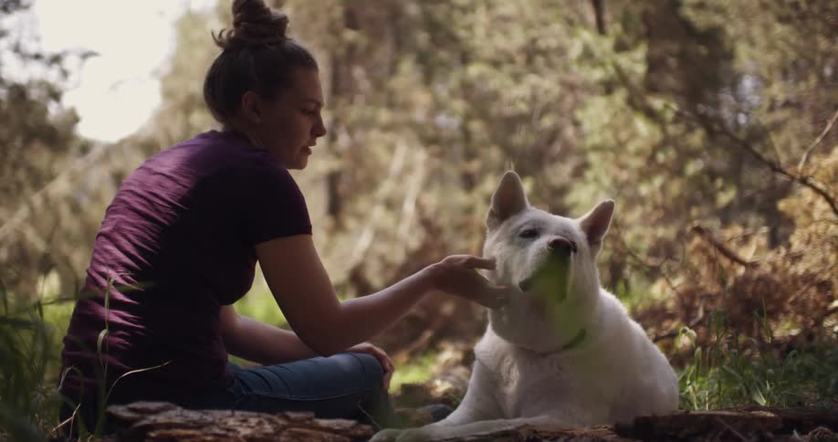 A woman sits and scratches a dog outside