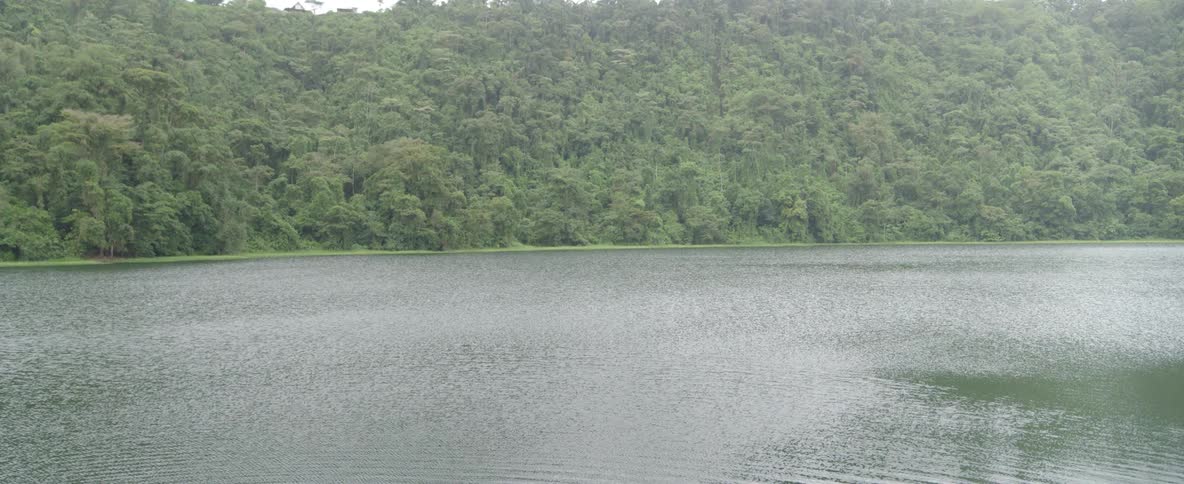 A tranquil lake scene with gentle ripples on the water and a lush, dense forest on the distant shore