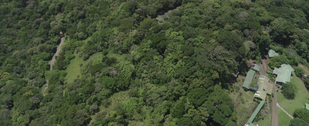 An aerial view of a misty mountain range tilts down to reveal a remote settlement nestled deep within the lush green jungle
