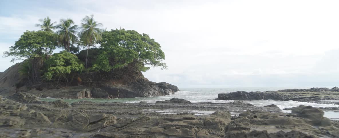 A serene shot of a tropical, tree-covered island from a rocky shore as the tide slowly rolls in