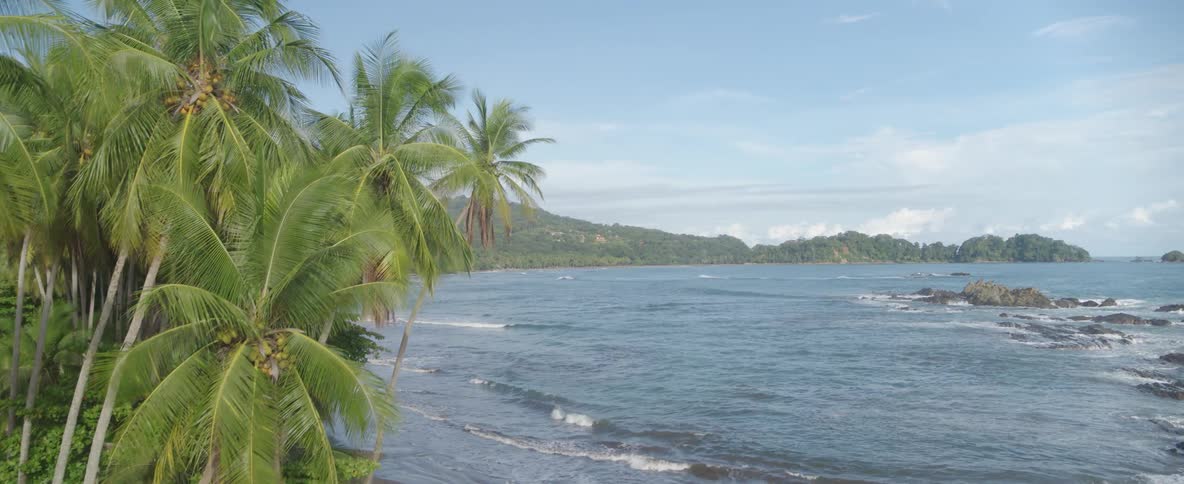 Slow aerial push-in over a secluded tropical beach lined with lush palm trees as gentle ocean waves roll ashore