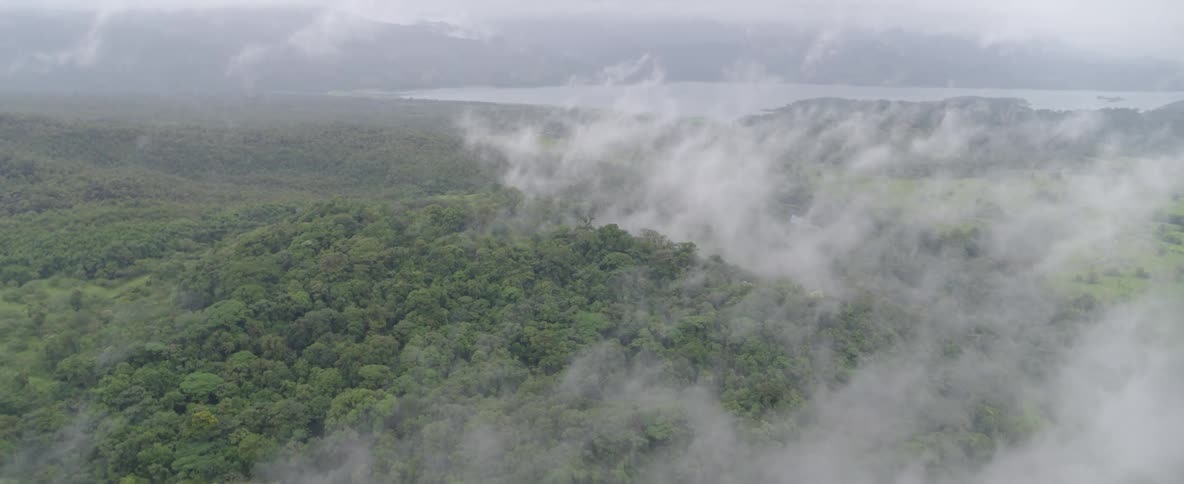 A serene aerial shot pulls back over a cloud-covered tropical forest, revealing a beautiful, misty landscape and a large lake