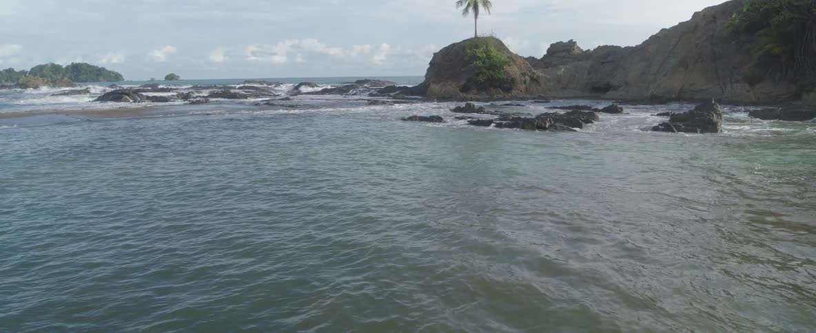 A tranquil tropical cove where gentle waves lap against a rocky shore with a lone palm tree on a small island