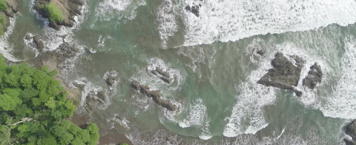 A stunning top-down aerial view of a vibrant green tropical forest meeting the rocky coastline as ocean waves crash against the shore