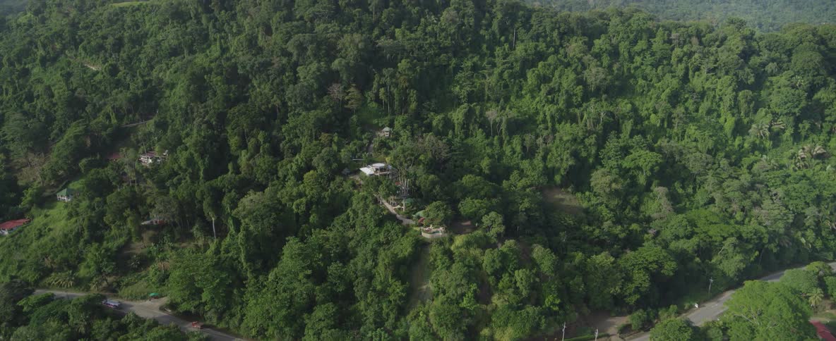 An aerial view reveals a winding road and secluded homes nestled within a dense, lush tropical jungle covering rolling hills