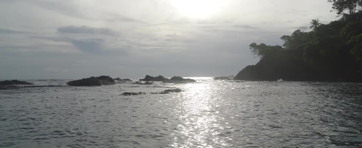Sunlight shimmers on the tranquil ocean surface next to a rocky, tree-covered coastline