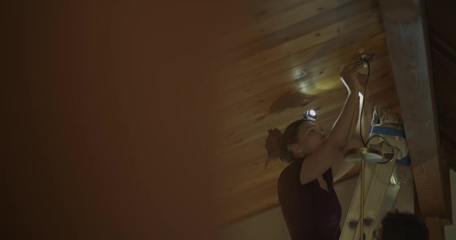 A woman is on a ladder working