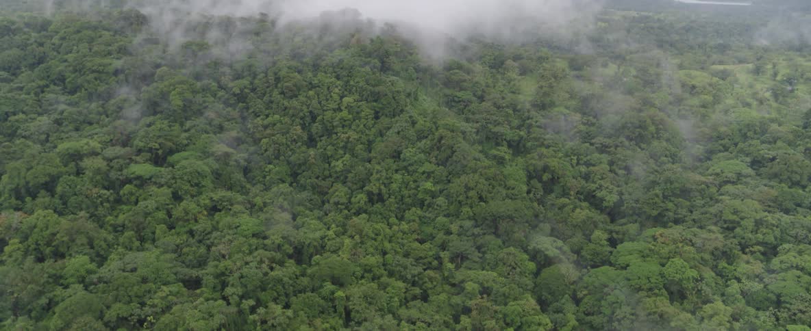 An aerial view shows fog and clouds slowly clearing to reveal a vast, dense green jungle canopy