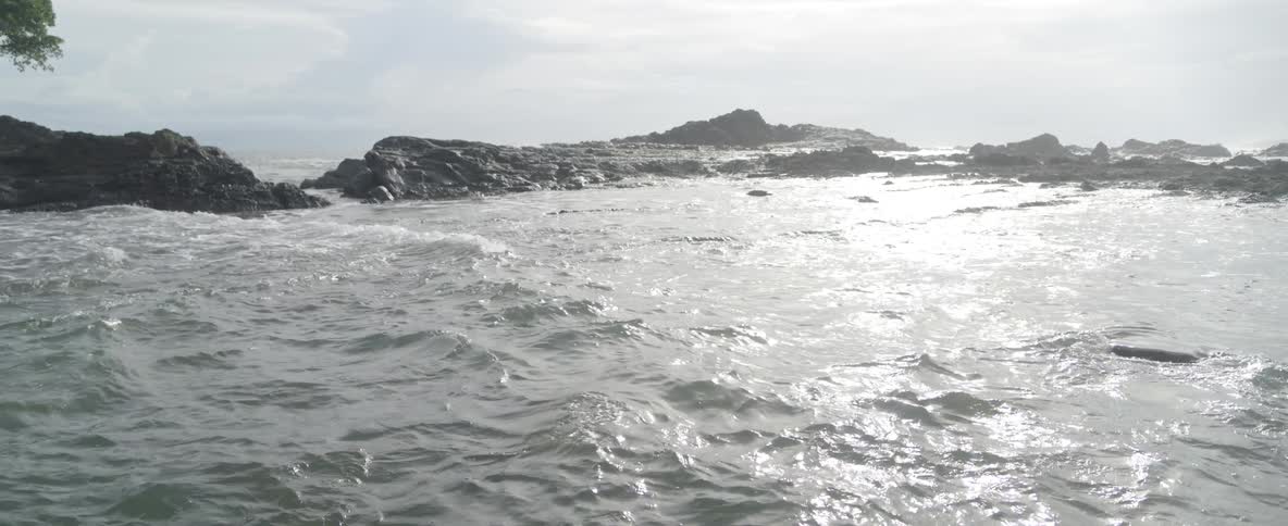 The bright sun glistens on the gently rolling ocean surface near a rocky coastline